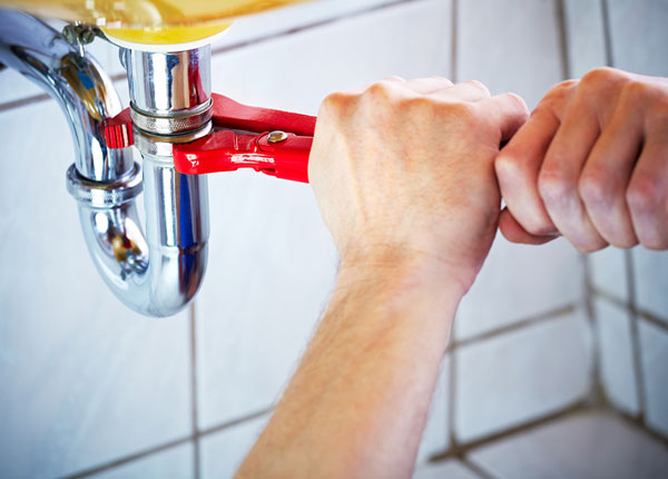 About Whitfield Plumbers